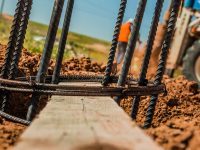 Business Development – Consulting